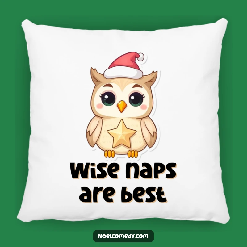 Funny Owl Star Pillow: Cozy Festive Cushion, Magical Owl Decor Gift