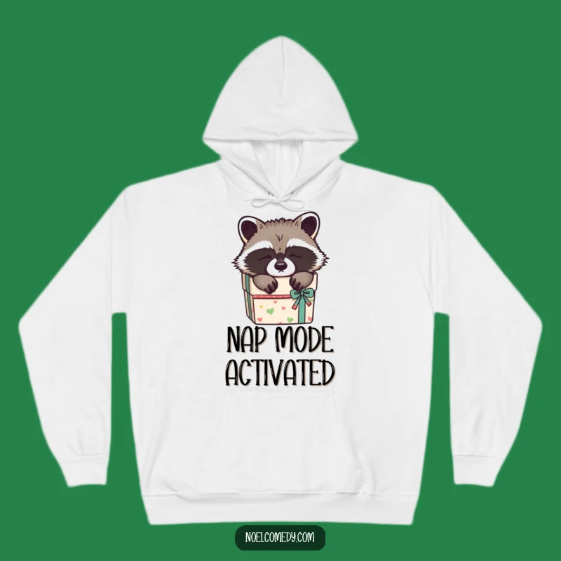 Funny Sleepy Raccoon Hoodie: Cozy Gift Box Snuggles